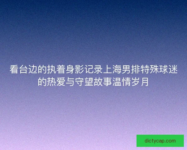看台边的执着身影记录上海男排特殊球迷的热爱与守望故事温情岁月