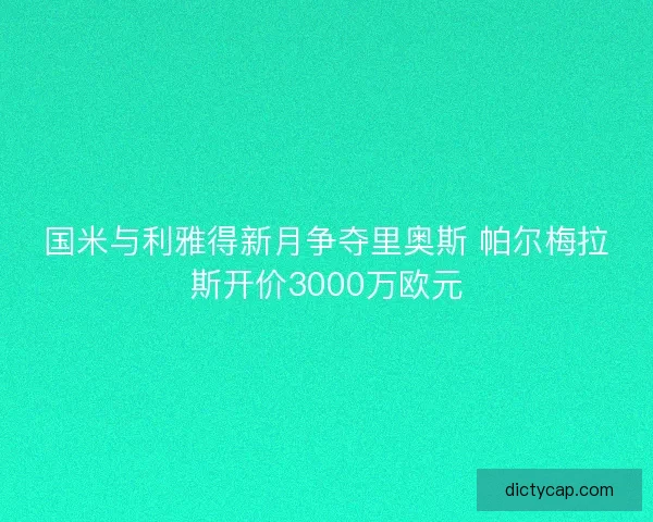 国米与利雅得新月争夺里奥斯 帕尔梅拉斯开价3000万欧元